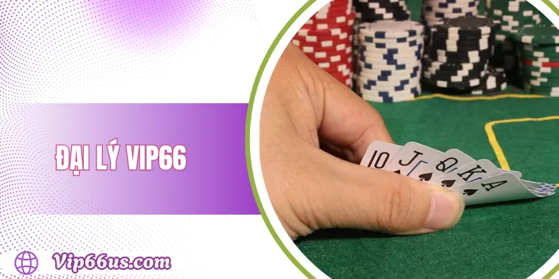 Đại lý vip66